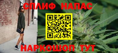гидра Усть-Джегута