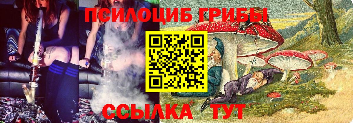 Псилоцибиновые грибы Psilocybine cubensis  купить наркотики сайты  Нефтеюганск  Вход с VPN 